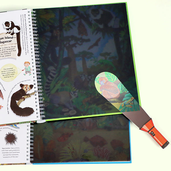 Magic Discovery Flashlight Toy Book Set – Jungle & Ocean Animals | Interactive Shine-a-Light Activity Books for Toddlers | Kids Explore Hidden Creatures with Paper Flashlight | Preschool Learning Gift for Boys & Girls Ages 3-6