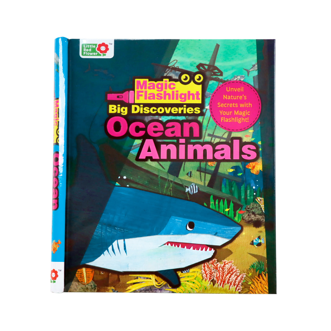 Magic Flashligjt Big Discoveries：Ocean Animals