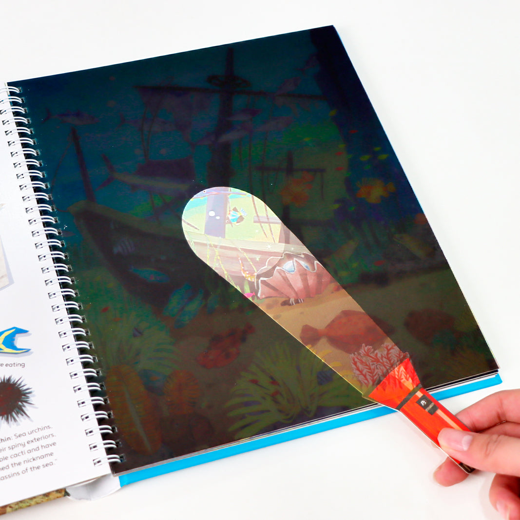 Magic Flashligjt Big Discoveries：Ocean Animals