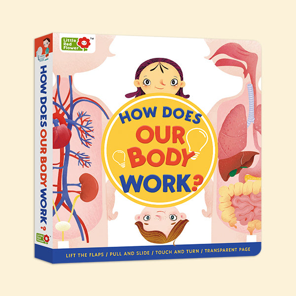 How Does Our Body Work？- Interactive book，Pull-Tab Board，Lift-the-Flap，Early Learning，Human Body Learning