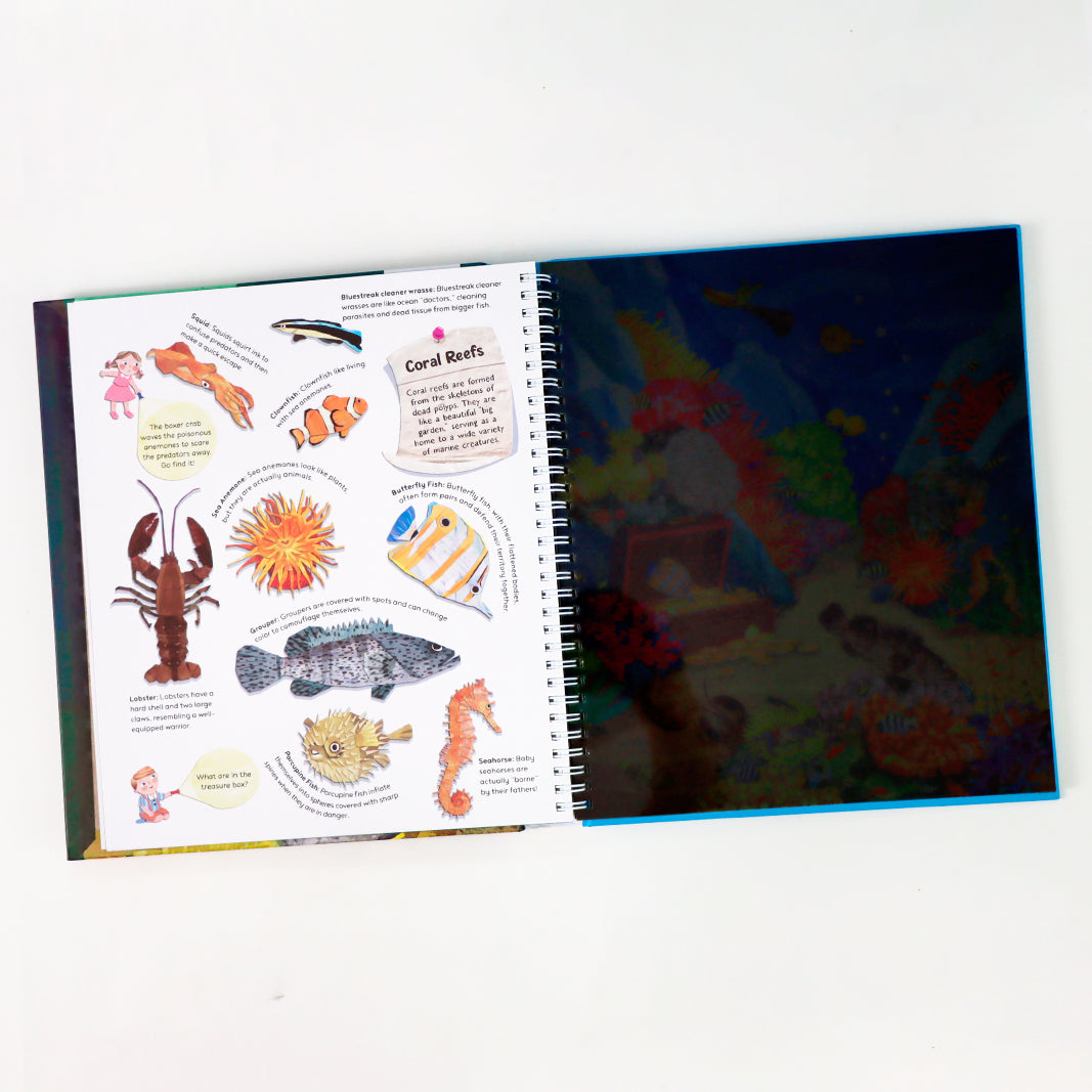 Magic Flashligjt Big Discoveries：Ocean Animals