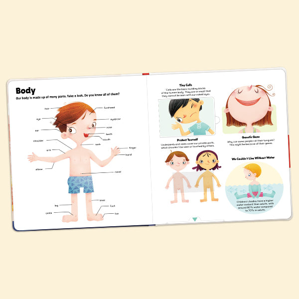 How Does Our Body Work？- Interactive book，Pull-Tab Board，Lift-the-Flap，Early Learning，Human Body Learning
