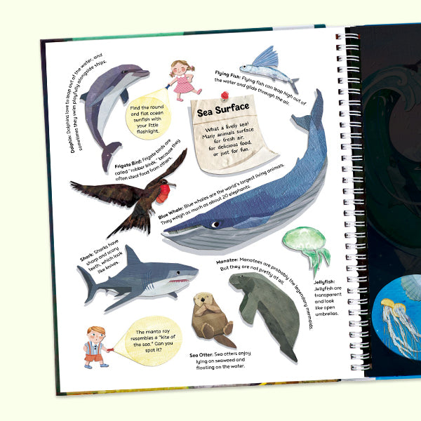 Magic Discovery Flashlight Toy Book Set – Jungle & Ocean Animals | Interactive Shine-a-Light Activity Books for Toddlers | Kids Explore Hidden Creatures with Paper Flashlight | Preschool Learning Gift for Boys & Girls Ages 3-6