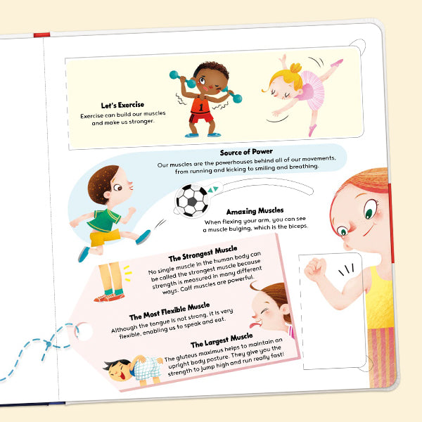 How Does Our Body Work？- Interactive book，Pull-Tab Board，Lift-the-Flap，Early Learning，Human Body Learning