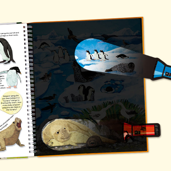 Magic Flashlight 2-Book Set: Dinosaur World & Wild Animals | Interactive Seek & Find Glow-in-the-Dark Style Activity Books for Kids Ages 3-6