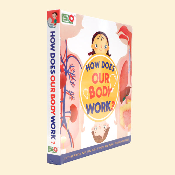 How Does Our Body Work？- Interactive book，Pull-Tab Board，Lift-the-Flap，Early Learning，Human Body Learning