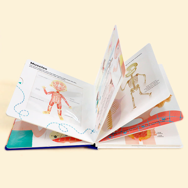 How Does Our Body Work？- Interactive book，Pull-Tab Board，Lift-the-Flap，Early Learning，Human Body Learning