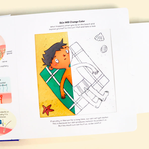 How Does Our Body Work？- Interactive book，Pull-Tab Board，Lift-the-Flap，Early Learning，Human Body Learning