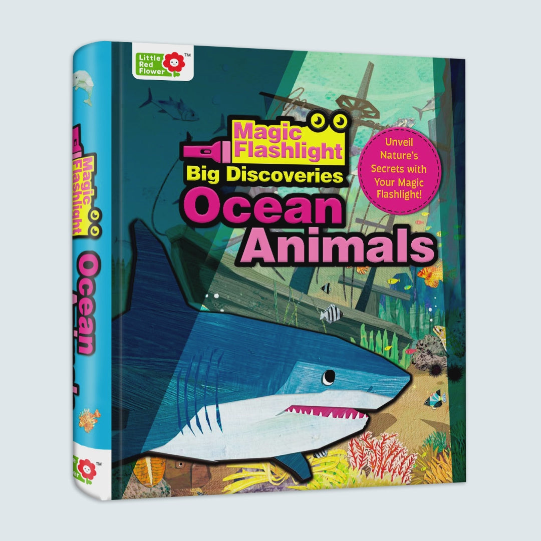 Magic Flashligjt Big Discoveries：Ocean Animals